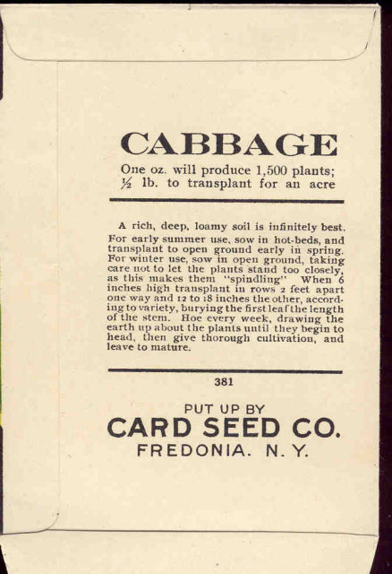 old vintage 1930s CABBAGE SEED PACKET ~ FREDONIA NY
