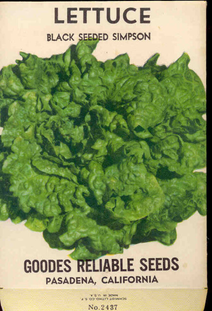old vintage 1930s LETTUCE SEED PACKET ~ PASADENA CA