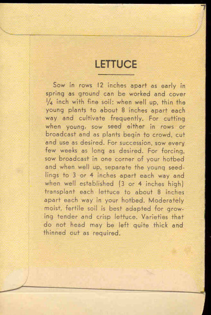 old vintage 1930s LETTUCE SEED PACKET ~ PASADENA CA