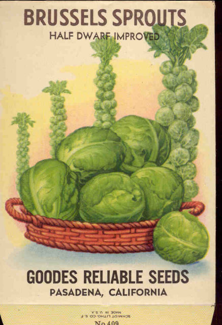 old vintage 1930s BRUSSEL SPROUTS SEED PACKET ~ FREDONIA NY