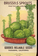 old vintage 1930s BRUSSEL SPROUTS SEED PACKET ~ FREDONIA NY