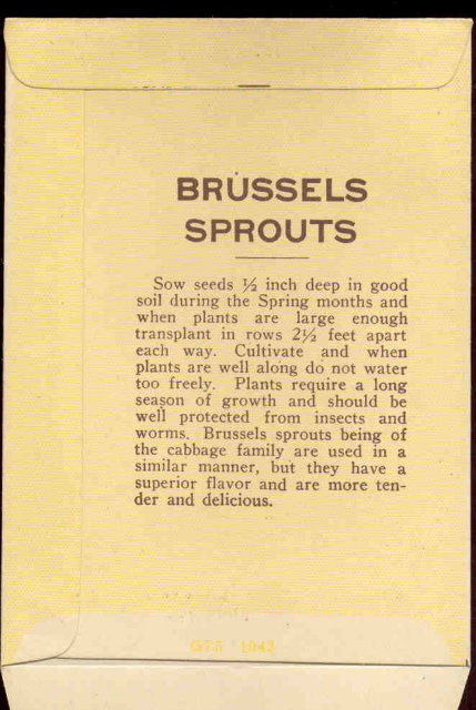 old vintage 1930s BRUSSEL SPROUTS SEED PACKET ~ FREDONIA NY