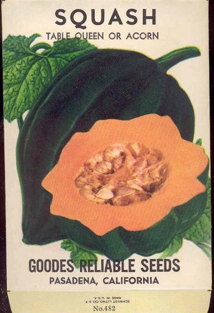 old vintage 1930s SQUASH SEED PACKET ~ PASADENA CA