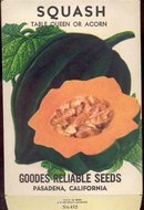 old vintage 1930s SQUASH SEED PACKET ~ PASADENA CA