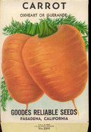 old vintage 1930s CARROT SEED PACKET ~ PASADENA CA
