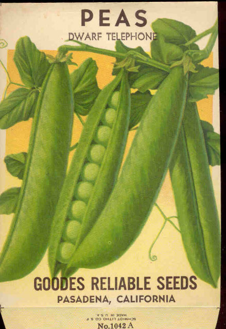 old vintage 1930s GREEN PEAS SEED PACKET ~ PASADENA CA