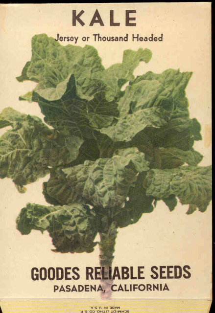 old vintage 1930s KALE SEED PACKET ~ PASADENA CA