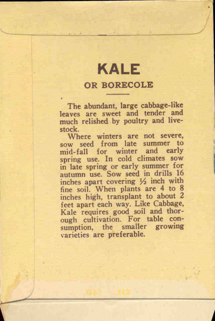 old vintage 1930s KALE SEED PACKET ~ PASADENA CA