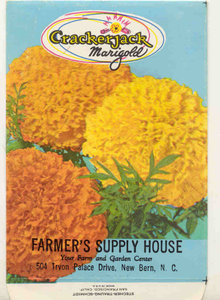 old vintage 1960s MARIGOLD FLOWER SEED PACKET