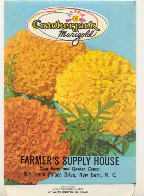old vintage 1960s MARIGOLD FLOWER SEED PACKET