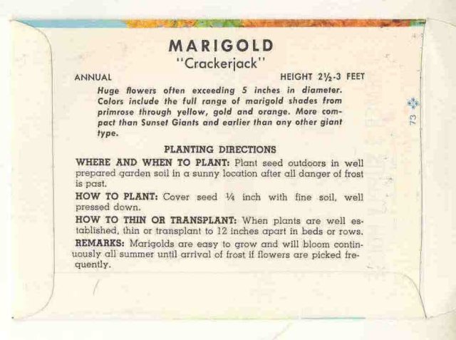 old vintage 1960s MARIGOLD FLOWER SEED PACKET