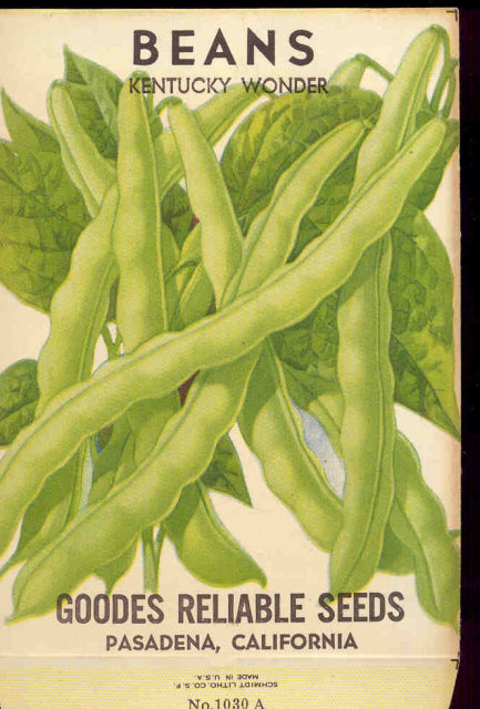 old vintage 1930s GREEN BEANS SEED PACKET ~ PASADENA CA