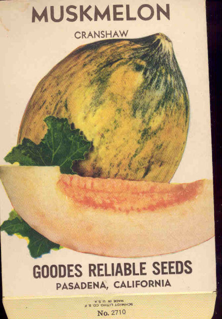 old vintage 1930s CANTALOPUE MUSK MELON SEED PACKET ~ PASADENA CA