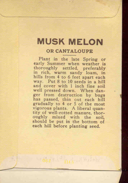 old vintage 1930s CANTALOPUE MUSK MELON SEED PACKET ~ PASADENA CA