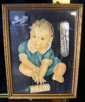Morning Star Dairy Print Framed