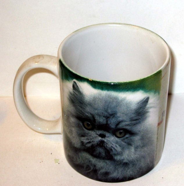 Mad Cat Mug