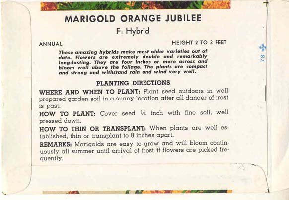 old vintage 1978 MARIGOLD FLOWER GOLD SEED PACK
