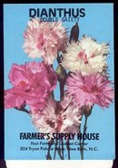 Dianthus Double Flower Seed Pack