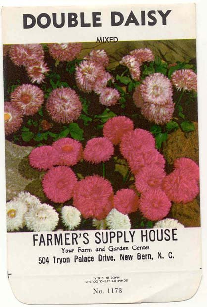 Double Daisy Flower Seed Pack