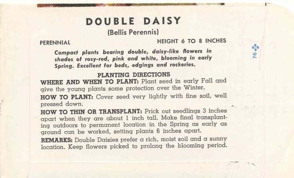 Double Daisy Flower Seed Pack