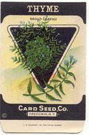 old vintage 1930s THYME HERB SEED PACKET ~ FREDONIA NY