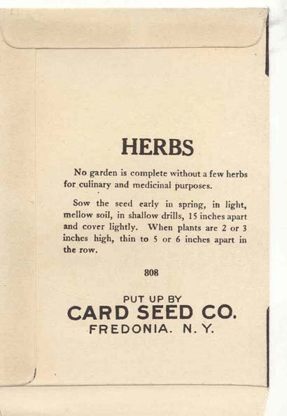 old vintage 1930s THYME HERB SEED PACKET ~ FREDONIA NY