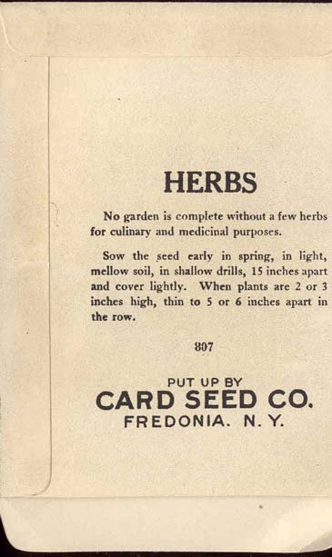 old vintage 1930s SAVORY HERB SEED PACKET ~ FREDONIA NY