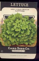 old vintage 1930s LETTUCE SEED PACKET ~ FREDONIA NY