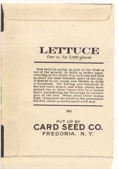 old vintage 1930s LETTUCE SEED PACKET ~ FREDONIA NY