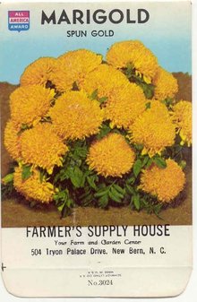 old vintage 1975 SPUN GOLD MARIGOLD FLOWER seed pack