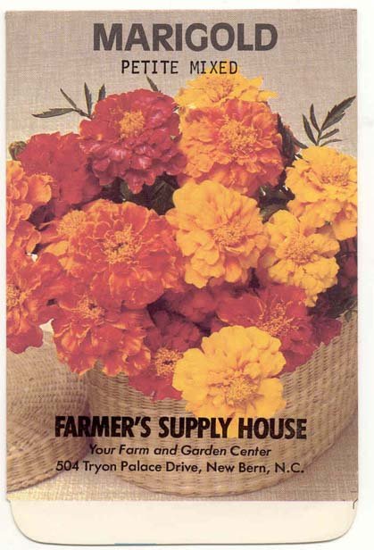 old vintage 1981 petite MARIGOLD FLOWER seed pack