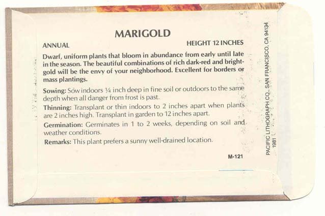 old vintage 1981 petite MARIGOLD FLOWER seed pack