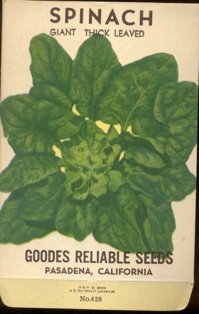 old vintage 1930s SPINACH SEED PACK ~ PASADENA CALIFORNIA