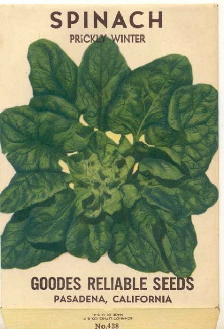 old vintage 1930s PRICKLY WINTER SPINACH SEED PACK ~ PASADENA CALIFORNIA