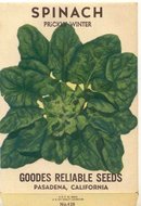 old vintage 1930s PRICKLY WINTER SPINACH SEED PACK ~ PASADENA CALIFORNIA