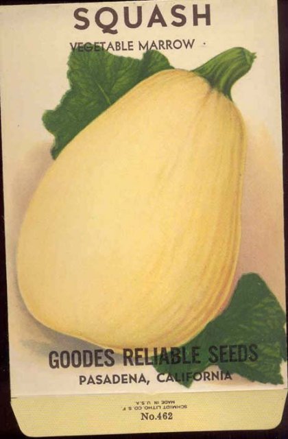 old vintage 1930s YELLOW SQUASH SEED PACK ~ PASADENA CALIFORNIA