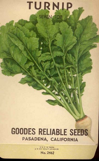 old vintage 1930s TURNIP SEED PACK ~ pasadena California