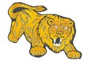 old vintage CARNIVAL LION gold patch ~ large