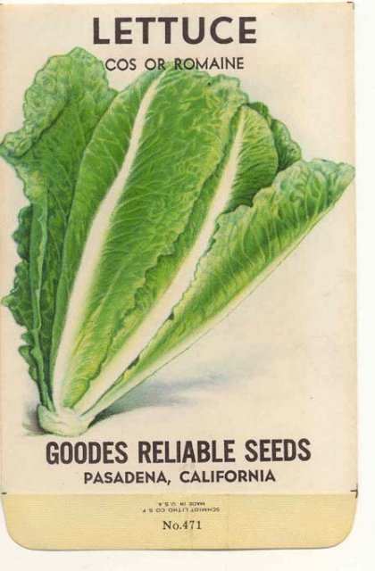 old vintage 1930s ROMAINE LETTUCE seed packet ~ pasadena california