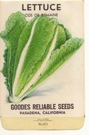 old vintage 1930s ROMAINE LETTUCE seed packet ~ pasadena california