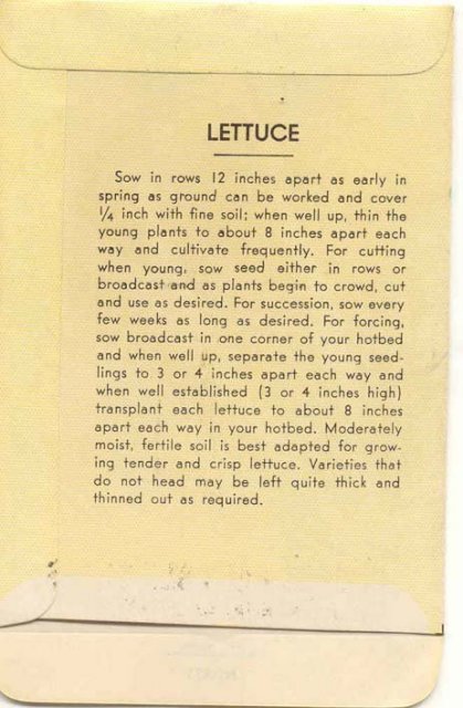 old vintage 1930s ROMAINE LETTUCE seed packet ~ pasadena california