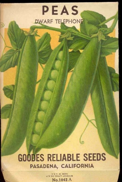 old vintage 1930s DWARF TELEPHONE PEAS seed pack ~ Pasadena California