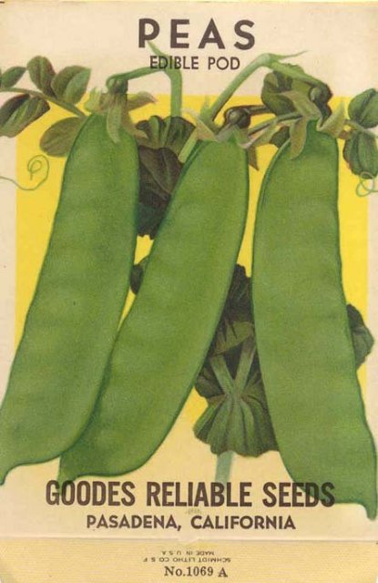 old vintage 1930s PEA pods seed pack ~ Pasadena California