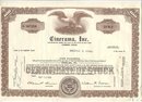 old vintage 1969 CINERAMA INC Eagle Stock Certificate