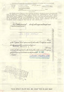 GRAND UNION STOCK CERTIFICATE 1967