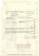 old vintage 1968 PAN AMERICAN WORLD AIRWAYS Stock Certificate