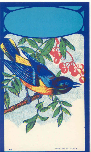 old vintage 1920s BLUE BIRD BROOM LABEL