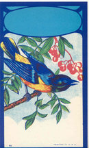 old vintage 1920s BLUE BIRD BROOM LABEL
