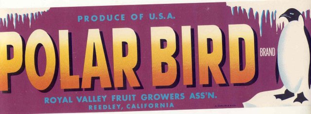old vintage 1940s POLAR BIRD PENGUIN CRATE LABEL