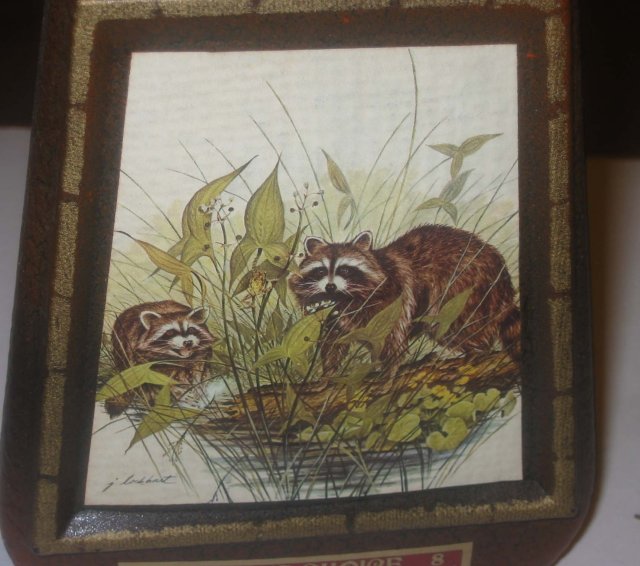 Jim Beam Racoon Whiskey bottle